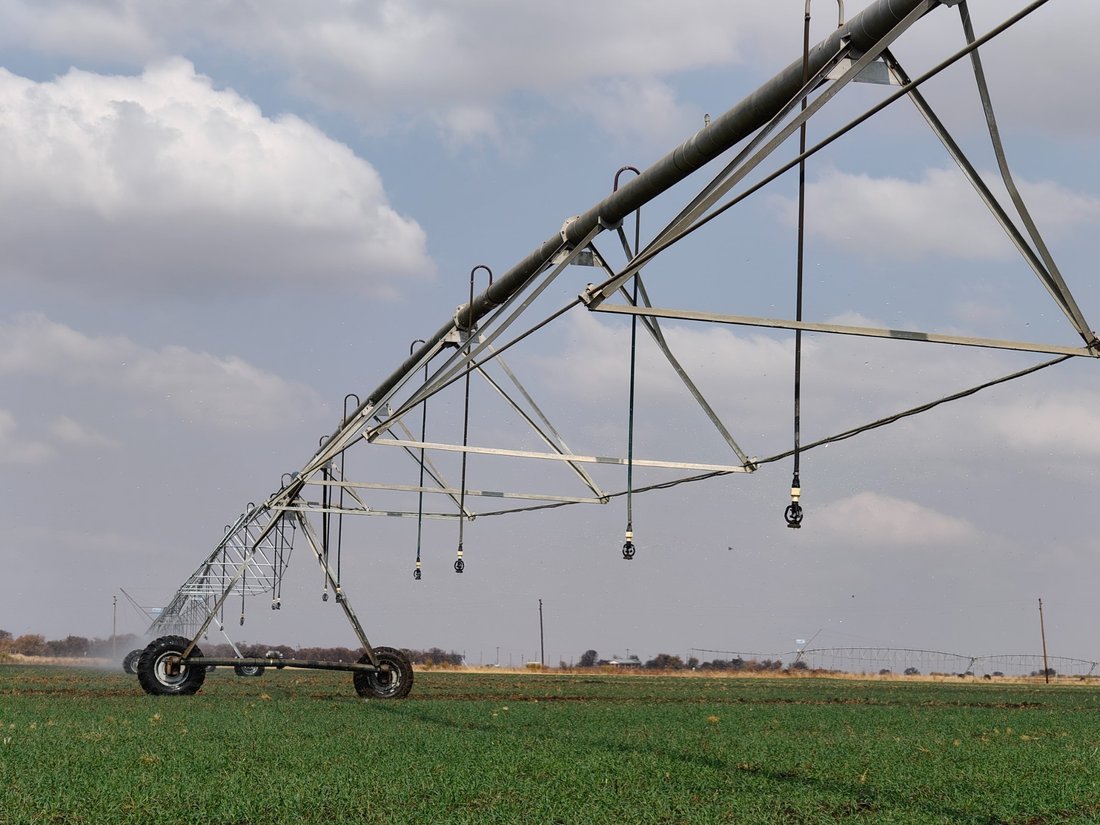 Farm Ranch in Johannesburg, Gauteng, South Africa 1 - 17252810