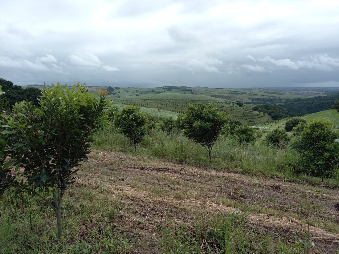 Farm Ranch in Dolphin Coast, KwaZulu-Natal, South Africa 4 - 17252905