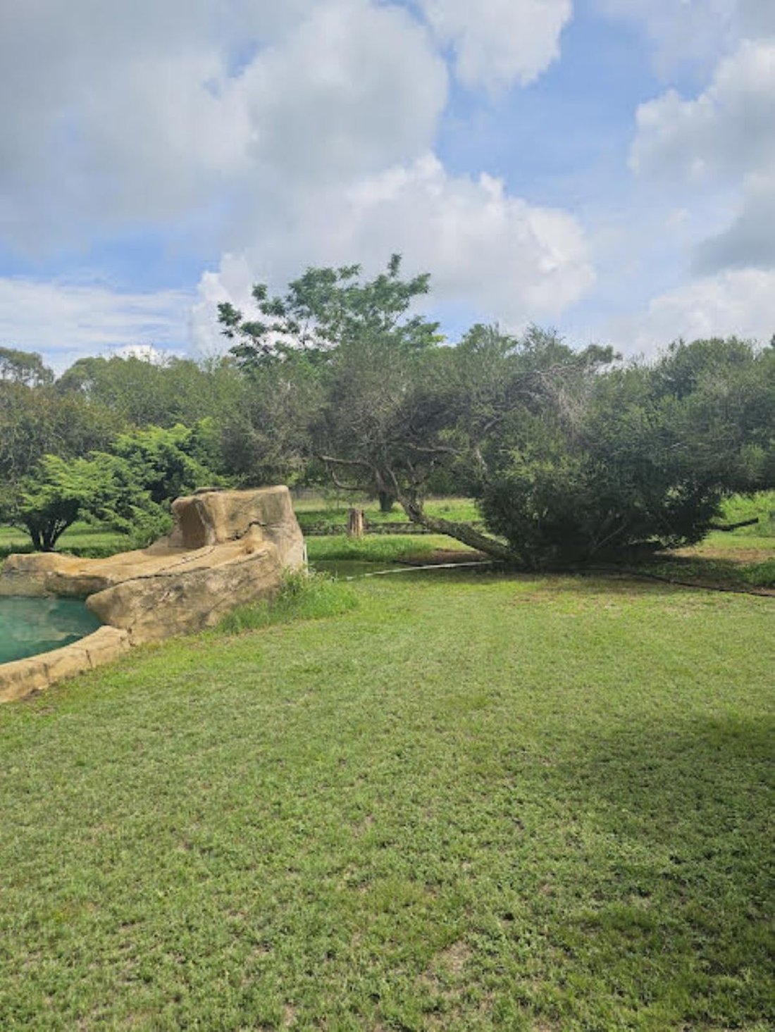 House in Rispark, Gauteng, South Africa 4 - 17248698