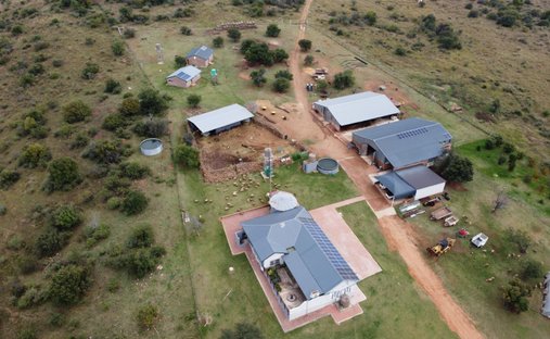 Azienda agricola a Johannesburg, Gauteng, Sudafrica 1