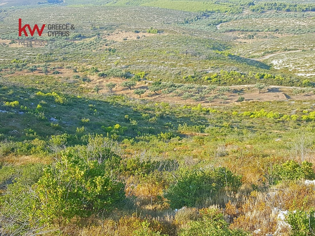 Land in Marion, Elaties, Greece 1 - 17249433