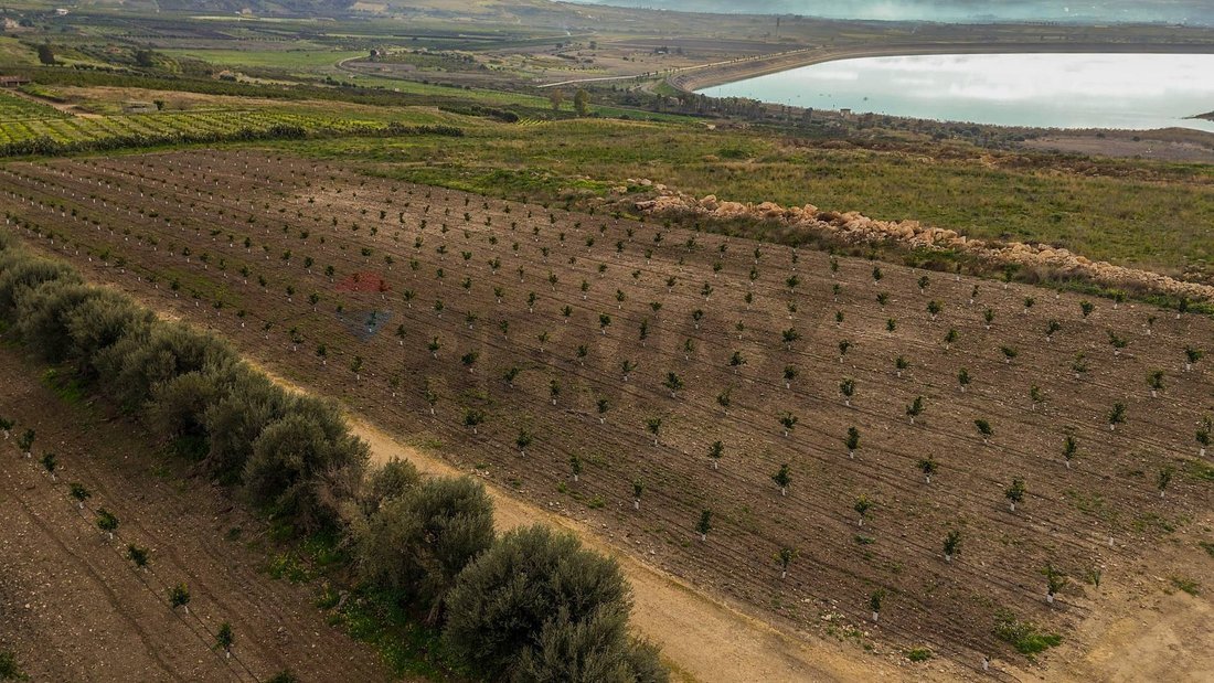 Land in Lentini, Sicily, Italy 3 - 17256415
