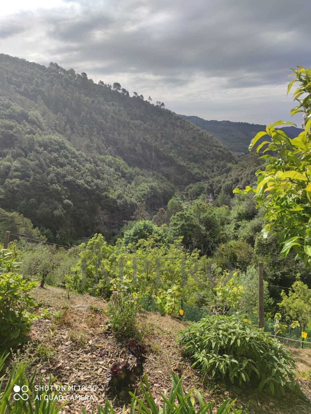 Villa in Dolceacqua, Liguria, Italy 1 - 17255309