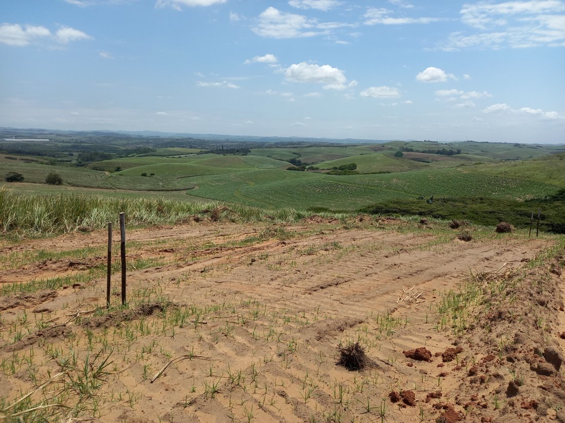 Terreno a Dolphin Coast, KwaZulu-Natal, Sudafrica 4 - 17251149