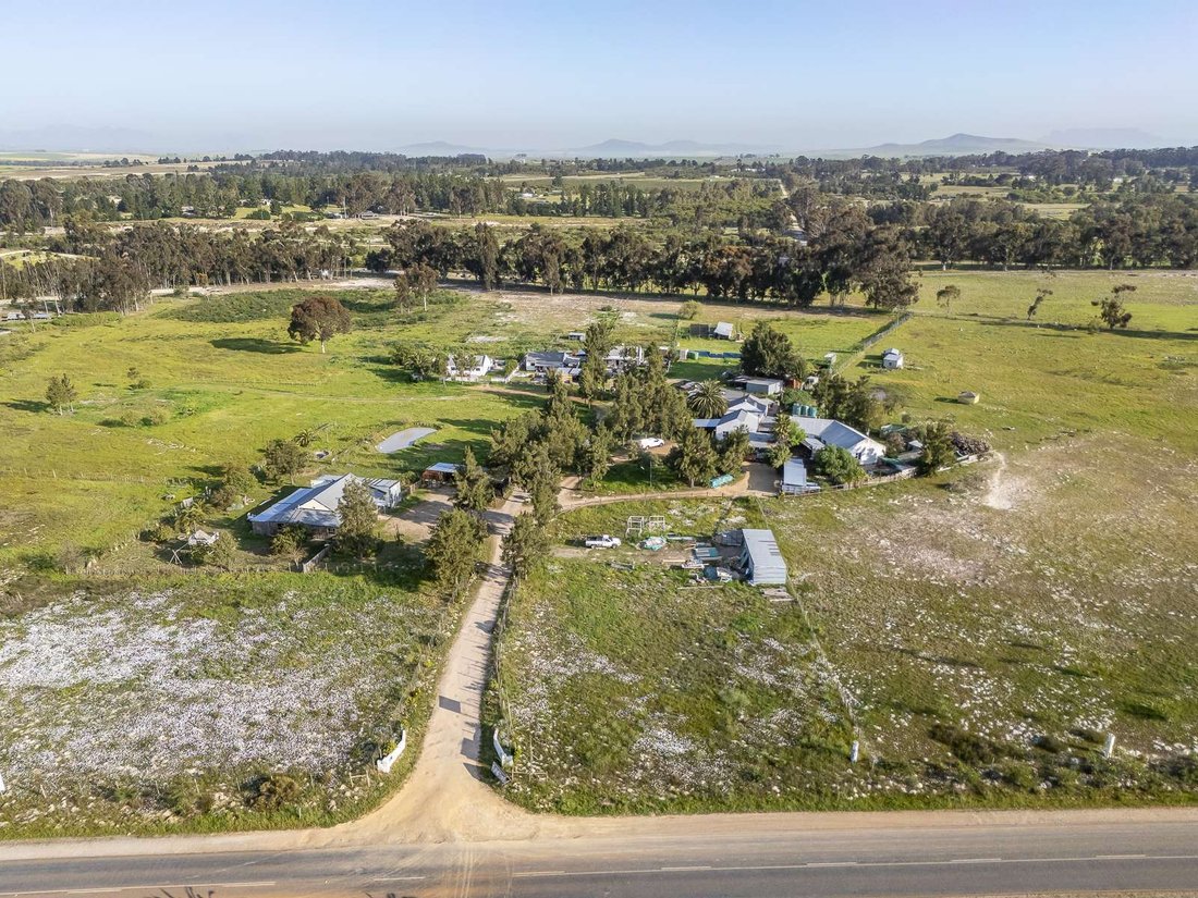 Farm Ranch in Johannesburg, Gauteng, South Africa 2 - 17250961