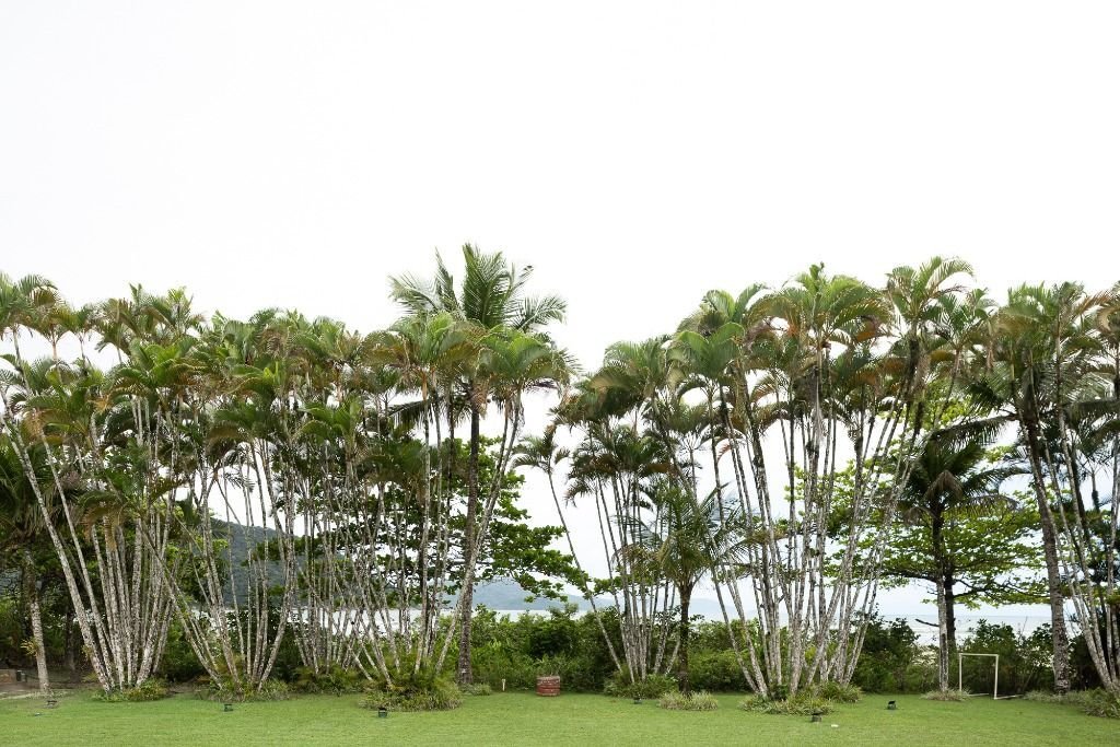 Condo in Praia Dura, State of São Paulo, Brazil 5 - 17252554
