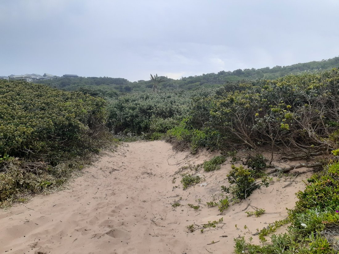 Corps de ferme à Blythedale, KwaZulu-Natal, Afrique du Sud 4 - 17251182