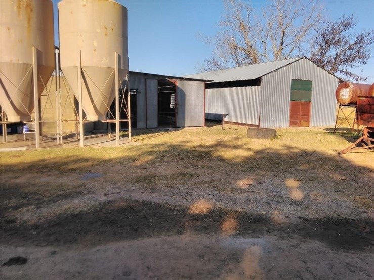 Farm Ranch in Dundee, KwaZulu-Natal, South Africa 5 - 17253029