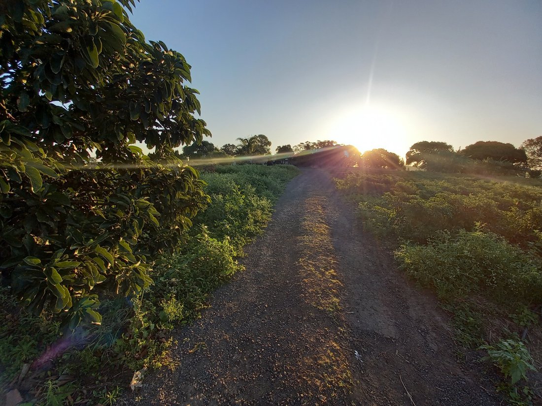 Farm Ranch in Shakaskraal, KwaZulu-Natal, Südafrika 5 - 17250309