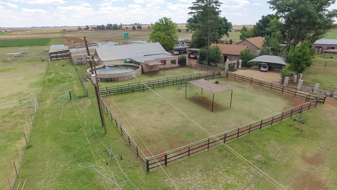 Farm Ranch in Mogale City Local Municipality, Gauteng, South Africa 1 - 17250866