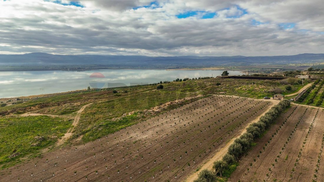 Land in Lentini, Sicily, Italy 5 - 17256415
