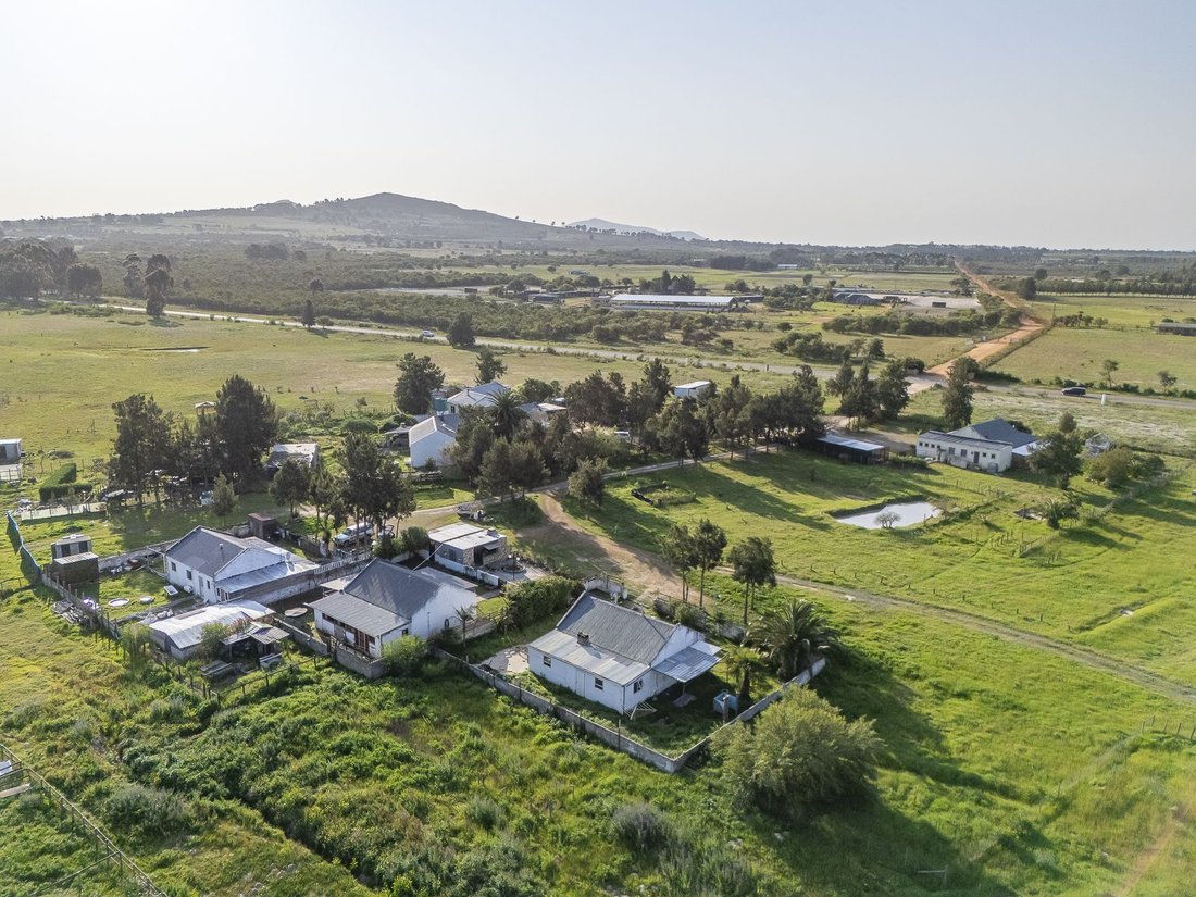 Farm Ranch in Johannesburg, Gauteng, South Africa 4 - 17250961