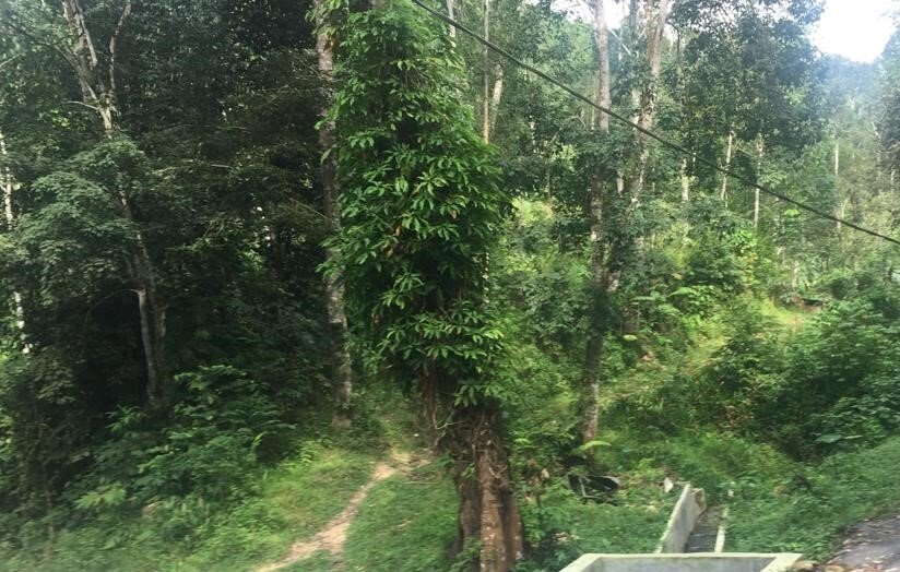 Kuala Lumpur, Federal Territory of Kuala Lumpur, Malaysia 3 - 17251366