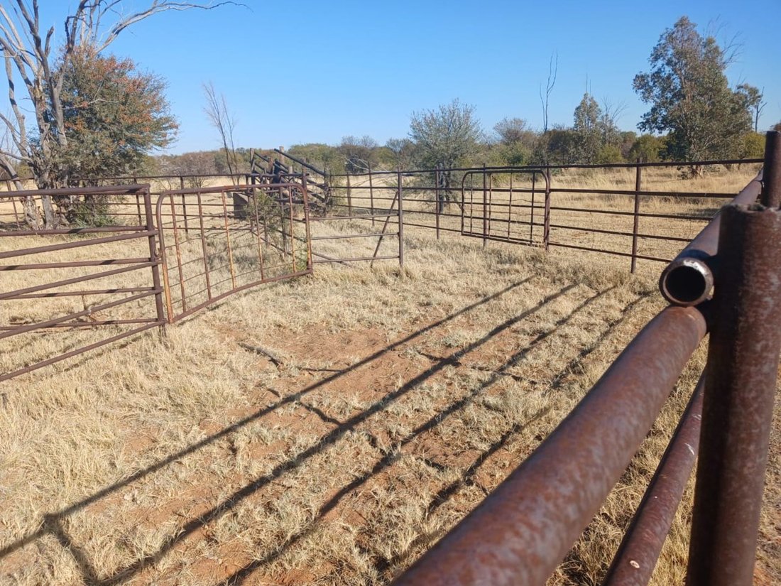 Farm Ranch in Braamfontein, Gauteng, South Africa 5 - 17252328