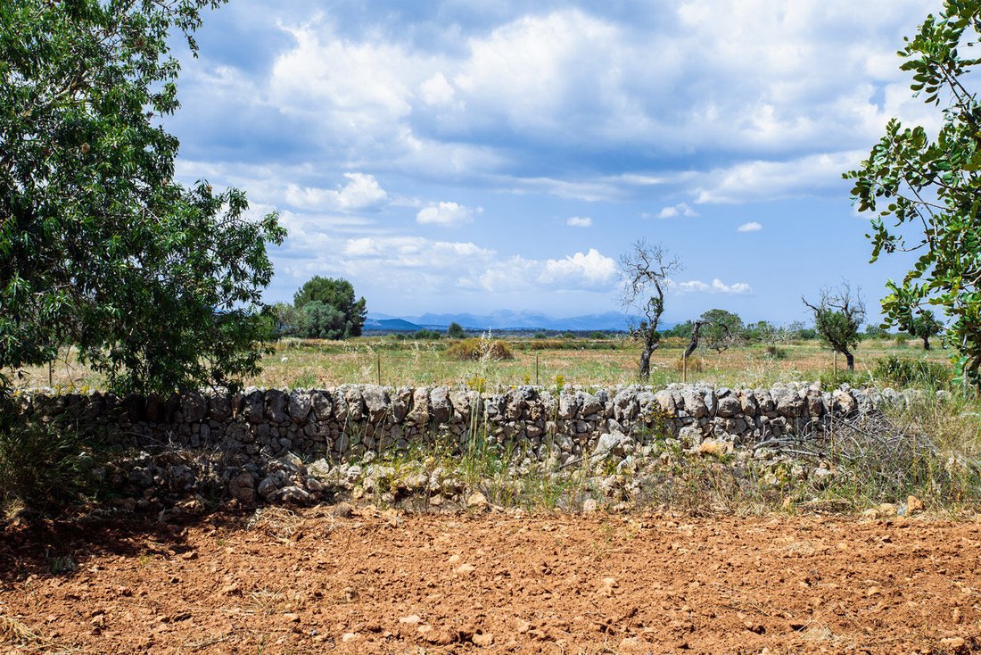 Land in Felanitx, Balearic Islands, Spain 3 - 17248227