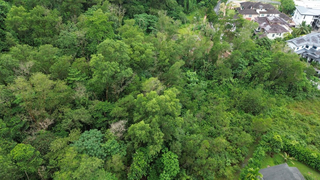 Land in Petaling Jaya, Selangor, Malaysia 4 - 17249136