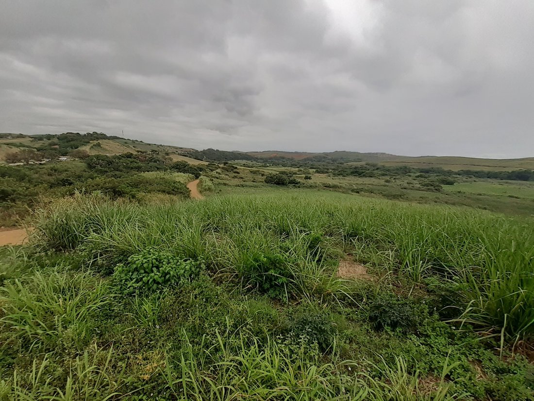 Rancho en Dolphin Coast, KwaZulu-Natal, Sudáfrica 1 - 17249615