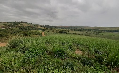 Farm Ranch in Dolphin Coast, KwaZulu-Natal, South Africa 1