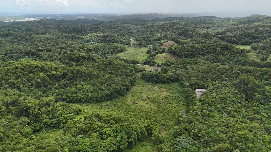 Land in Manatí, Manatí, Puerto Rico 2 - 17248934
