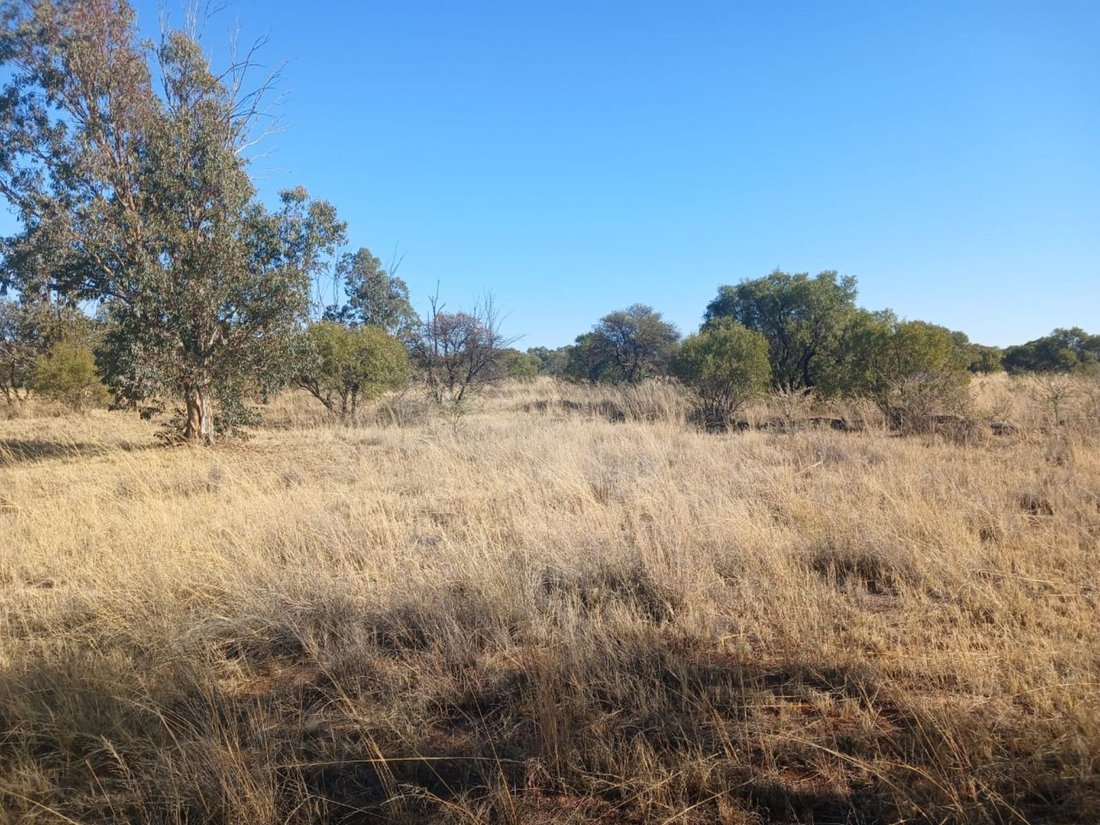Farm Ranch in Braamfontein, Gauteng, South Africa 1 - 17252309