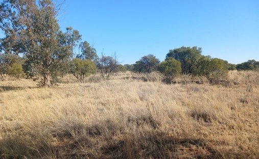 Farm Ranch in Johannesburg, Gauteng, South Africa 1