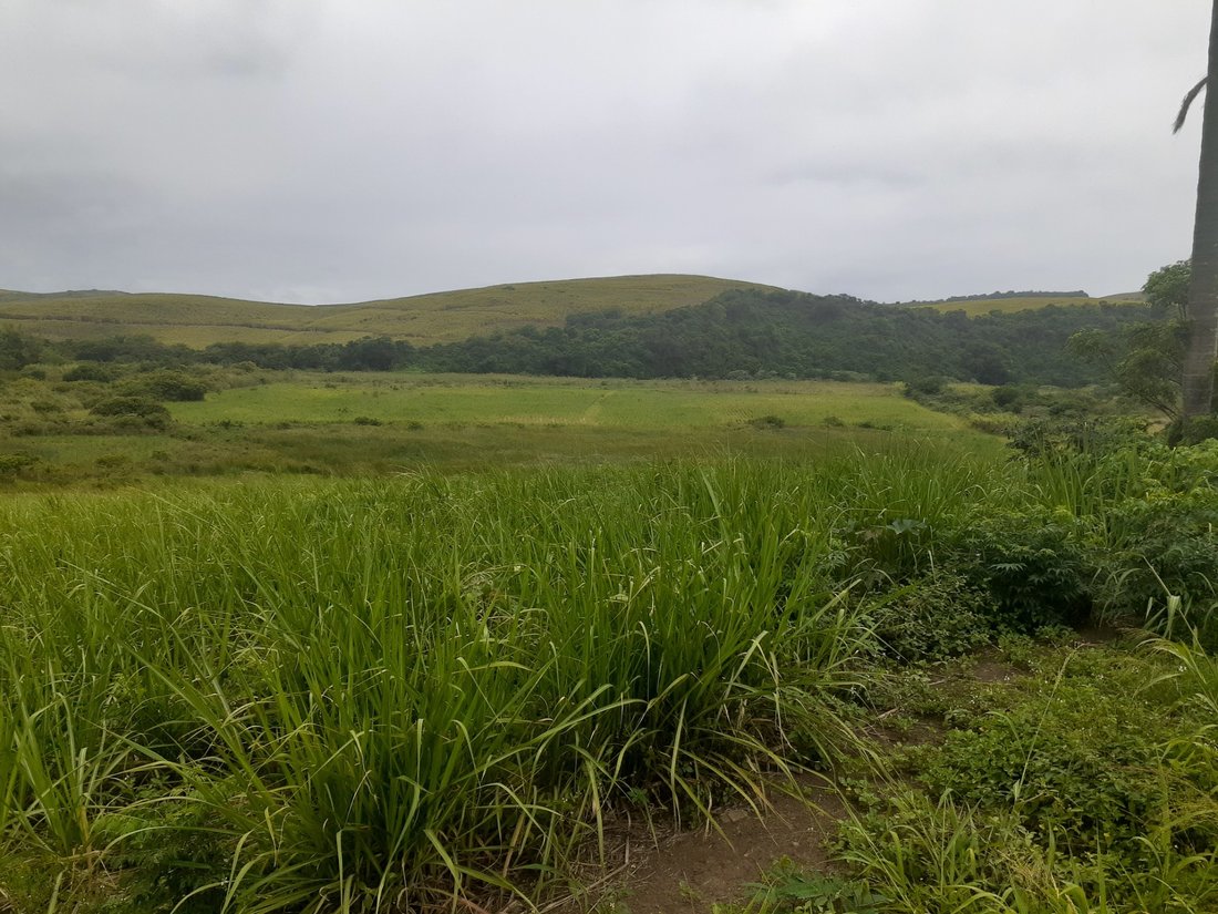 Rancho en Dolphin Coast, KwaZulu-Natal, Sudáfrica 5 - 17249615