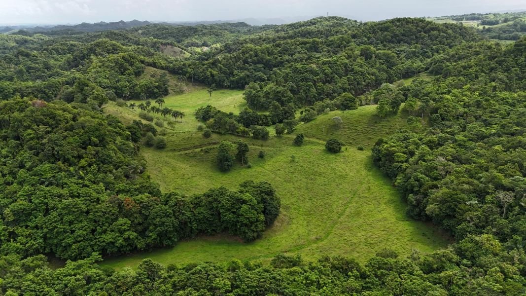Land in Manatí, Manatí, Puerto Rico 1 - 17248934