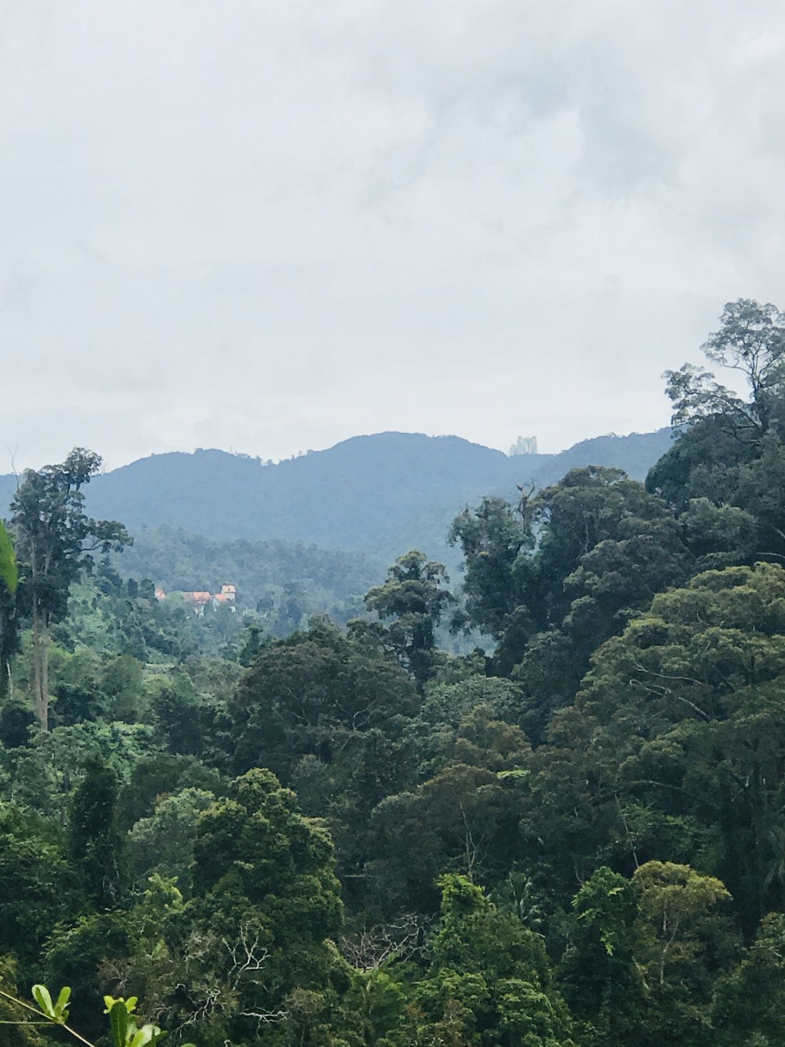 Bentong, Pahang, Malaysia 5 - 17251763