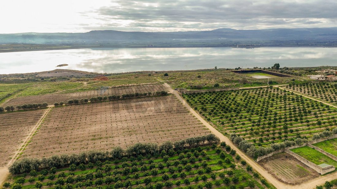 Land in Lentini, Sicily, Italy 1 - 17256415
