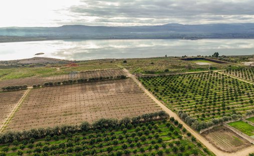 Land in Lentini, Sicily, Italy 1