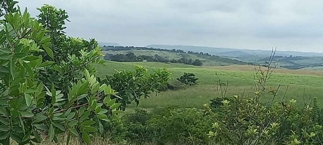 Land in Johannesburg, Gauteng, South Africa 5 - 17248646