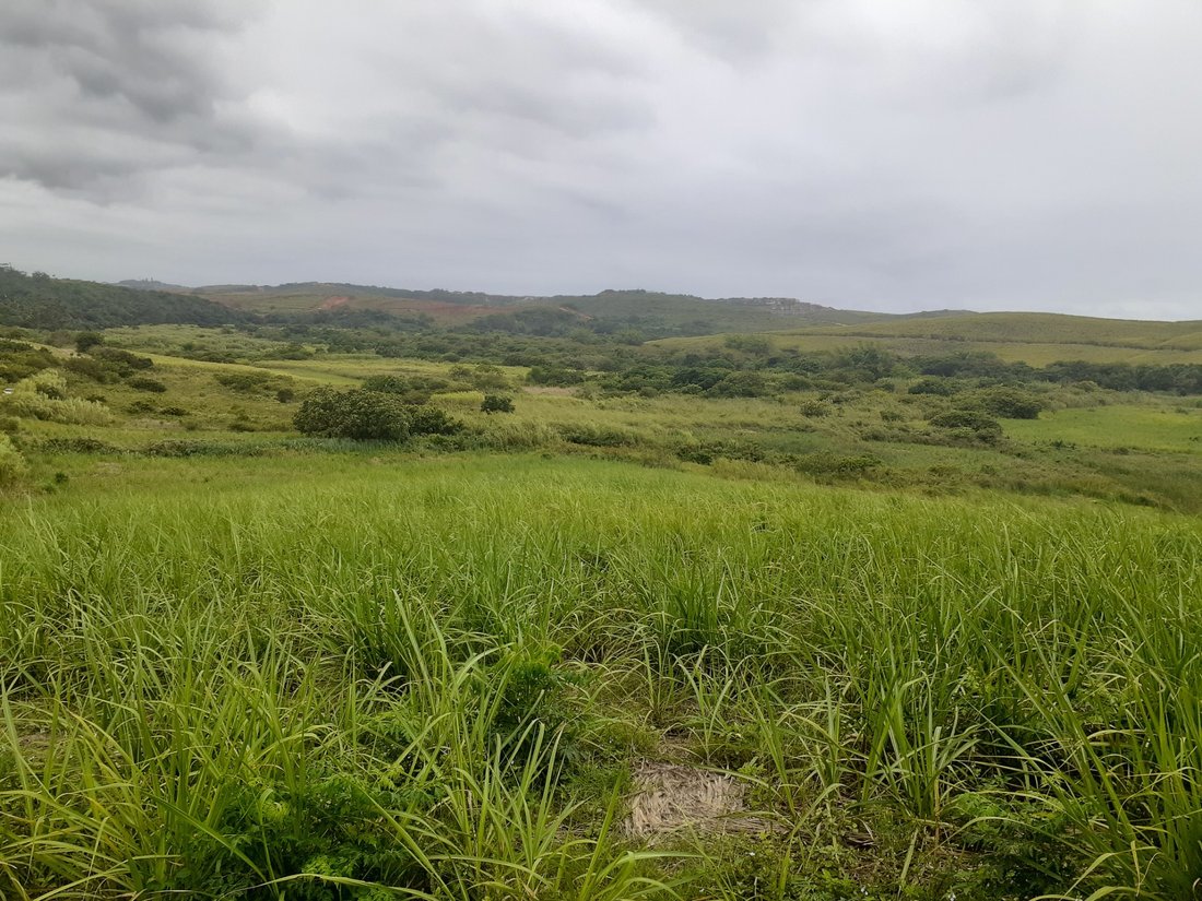 Rancho en Dolphin Coast, KwaZulu-Natal, Sudáfrica 4 - 17249615