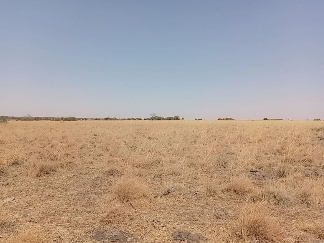 Farm Ranch in Braamfontein, Gauteng, South Africa 3 - 17252373