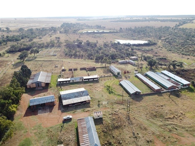 Farm Ranch in Ventersdorp, North West, South Africa 4 - 17252989