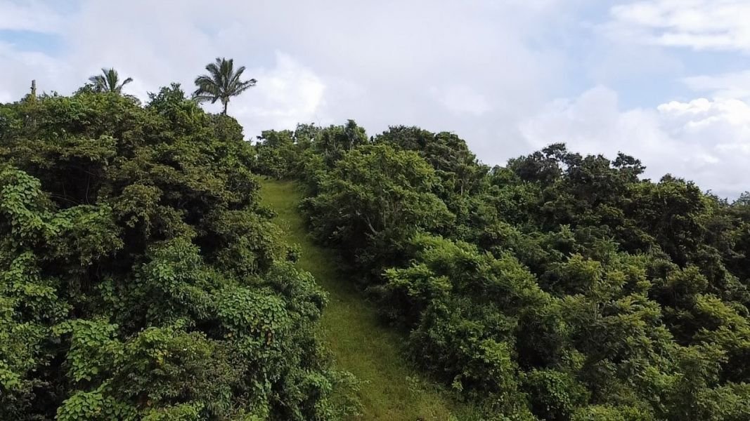 Land in Cayey, Cayey, Puerto Rico 5 - 17249335