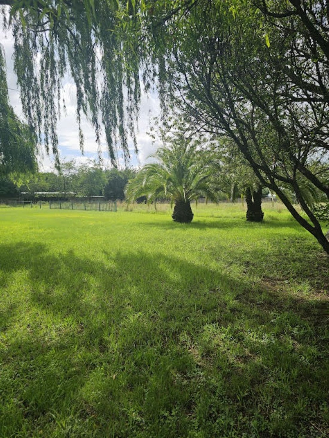 House in Rispark, Gauteng, South Africa 5 - 17248698