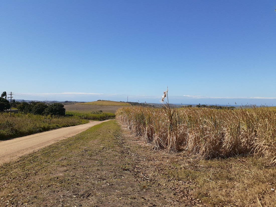 Rancho en Dolphin Coast, KwaZulu-Natal, Sudáfrica 5 - 17251787