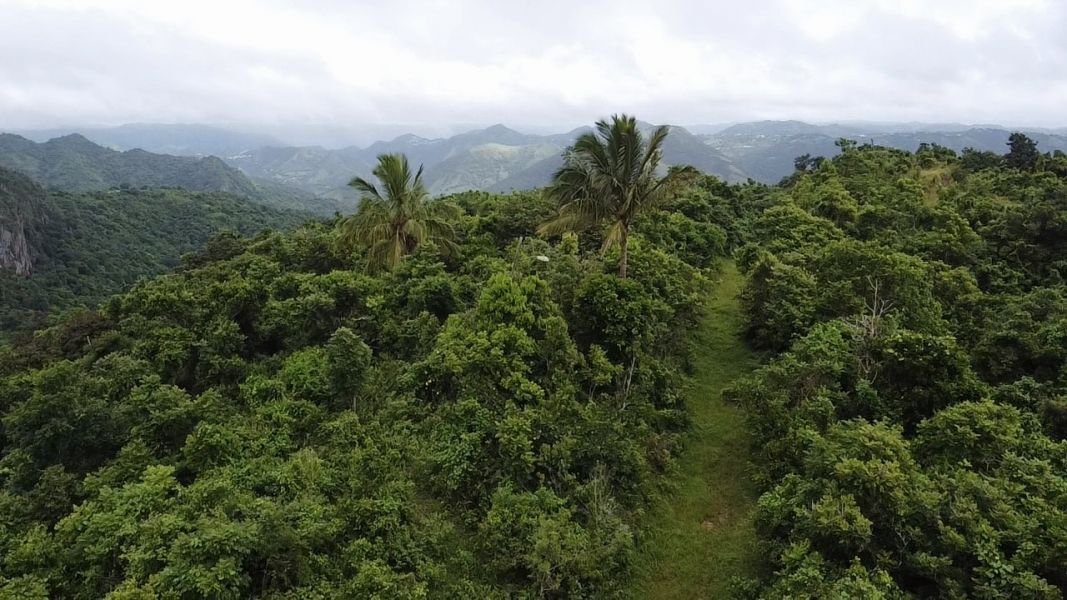 Land in Cayey, Cayey, Puerto Rico 4 - 17249335