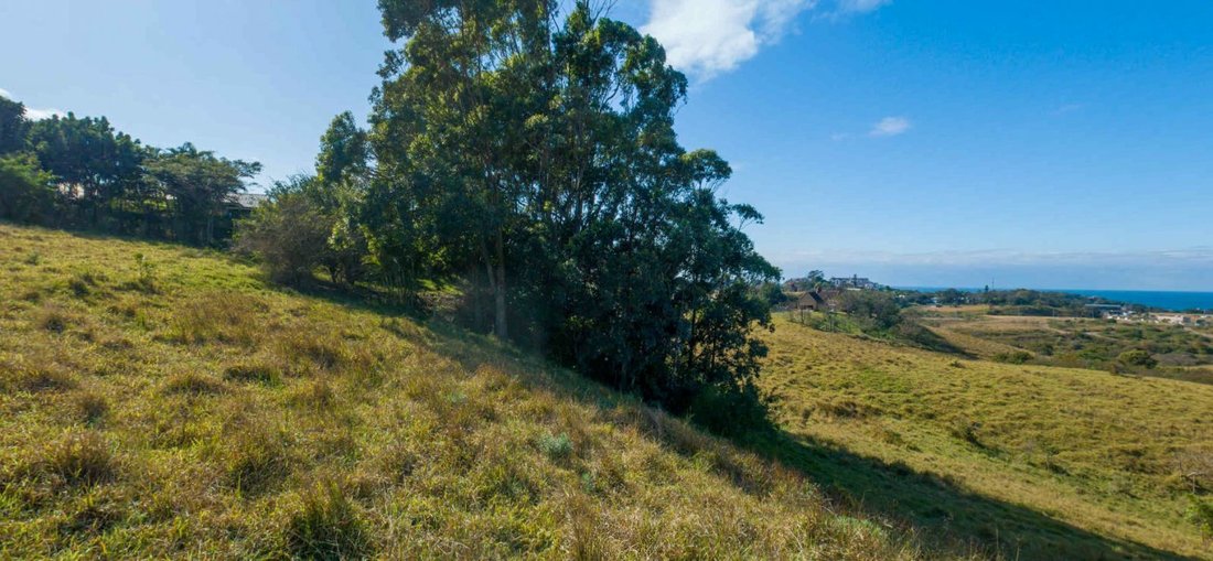 Land in Dolphin Coast, KwaZulu-Natal, South Africa 5 - 17250090
