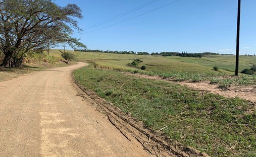 Corps de ferme à Johannesburg, Gauteng, Afrique du Sud 1