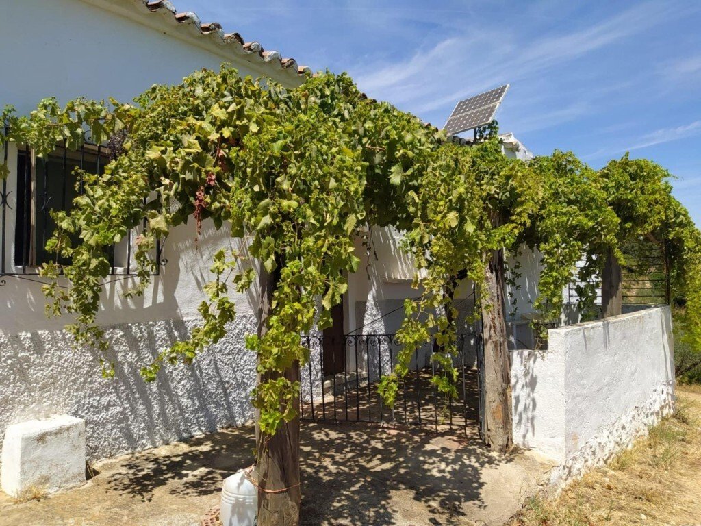 Land in Ardales, Andalusia, Spain 5 - 17256961