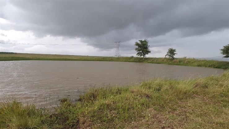 Farm Ranch in Dundee, KwaZulu-Natal, South Africa 4 - 17253029