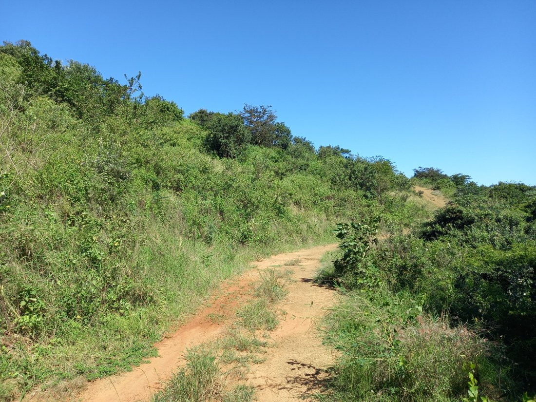 Land in Johannesburg, Gauteng, South Africa 5 - 17250369