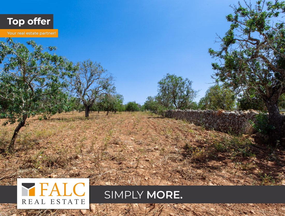 Land in Felanitx, Balearic Islands, Spain 1 - 17248227
