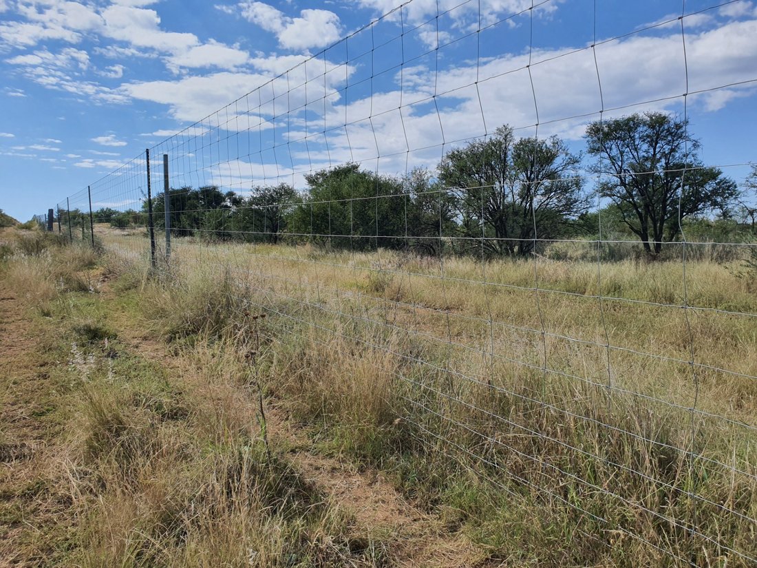Farm Ranch in Viljoenskroon, Free State, South Africa 3 - 17253083