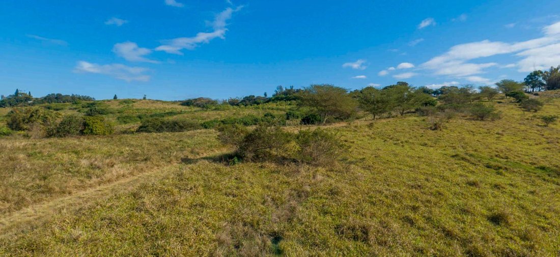 Land in Johannesburg, Gauteng, South Africa 3 - 17250130