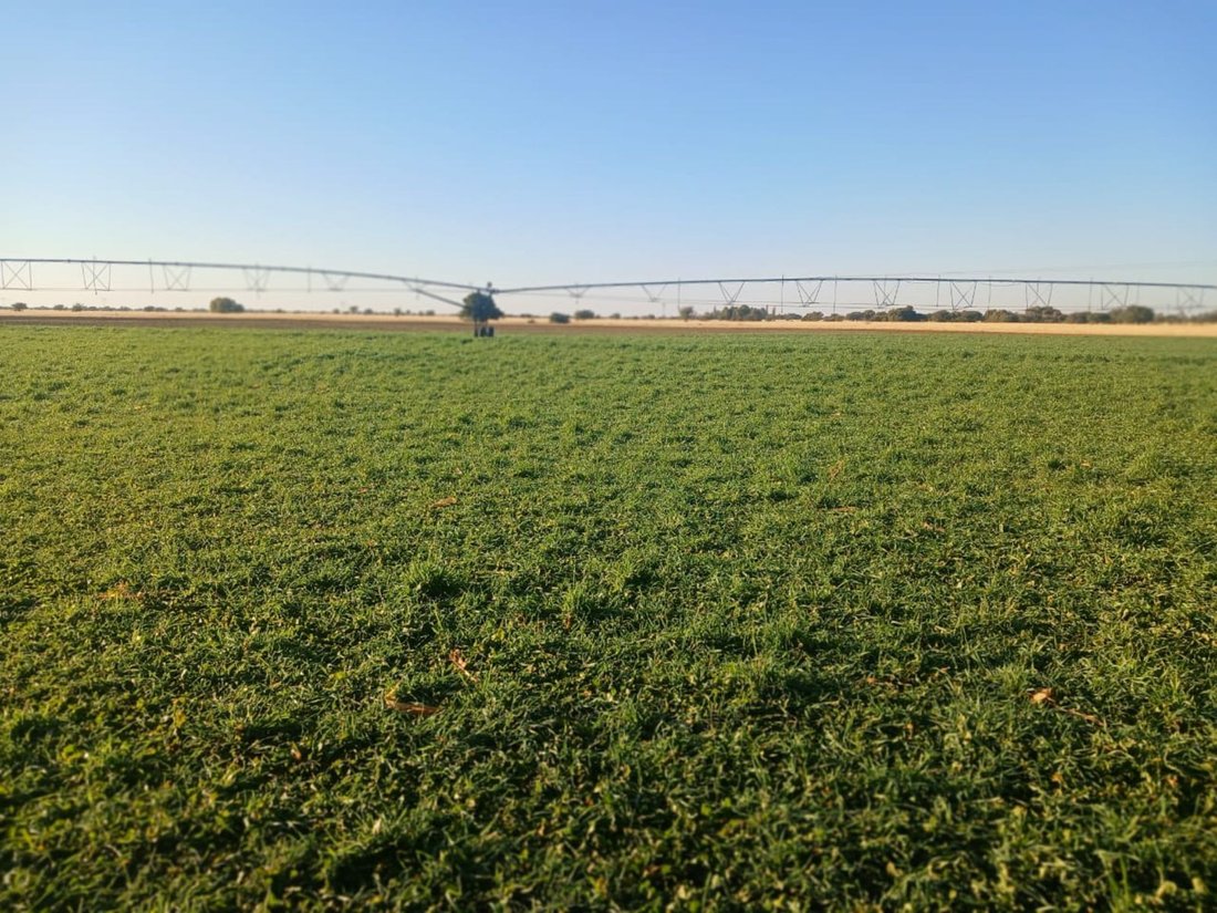 Farm Ranch in Braamfontein, Gauteng, South Africa 2 - 17252395