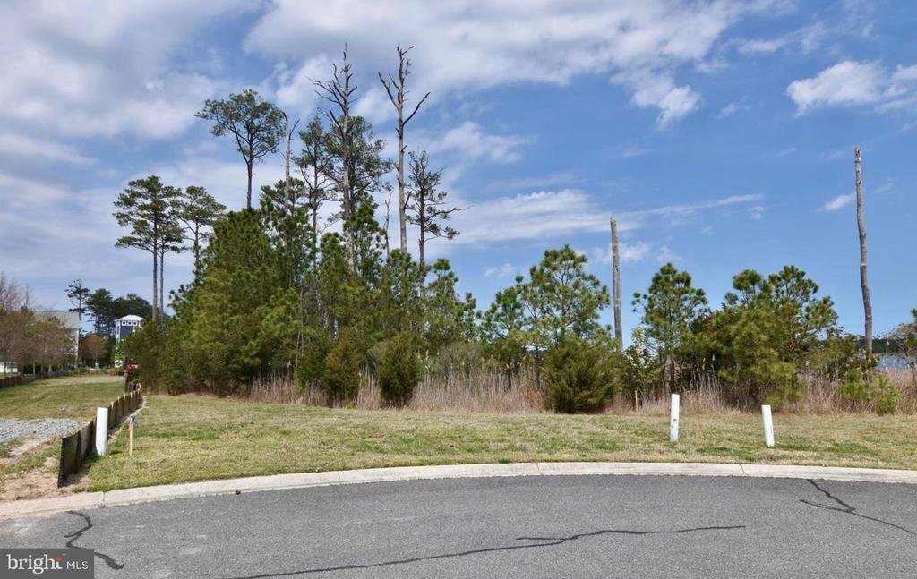 Land in Berlin, Maryland, United States 4 - 17249682