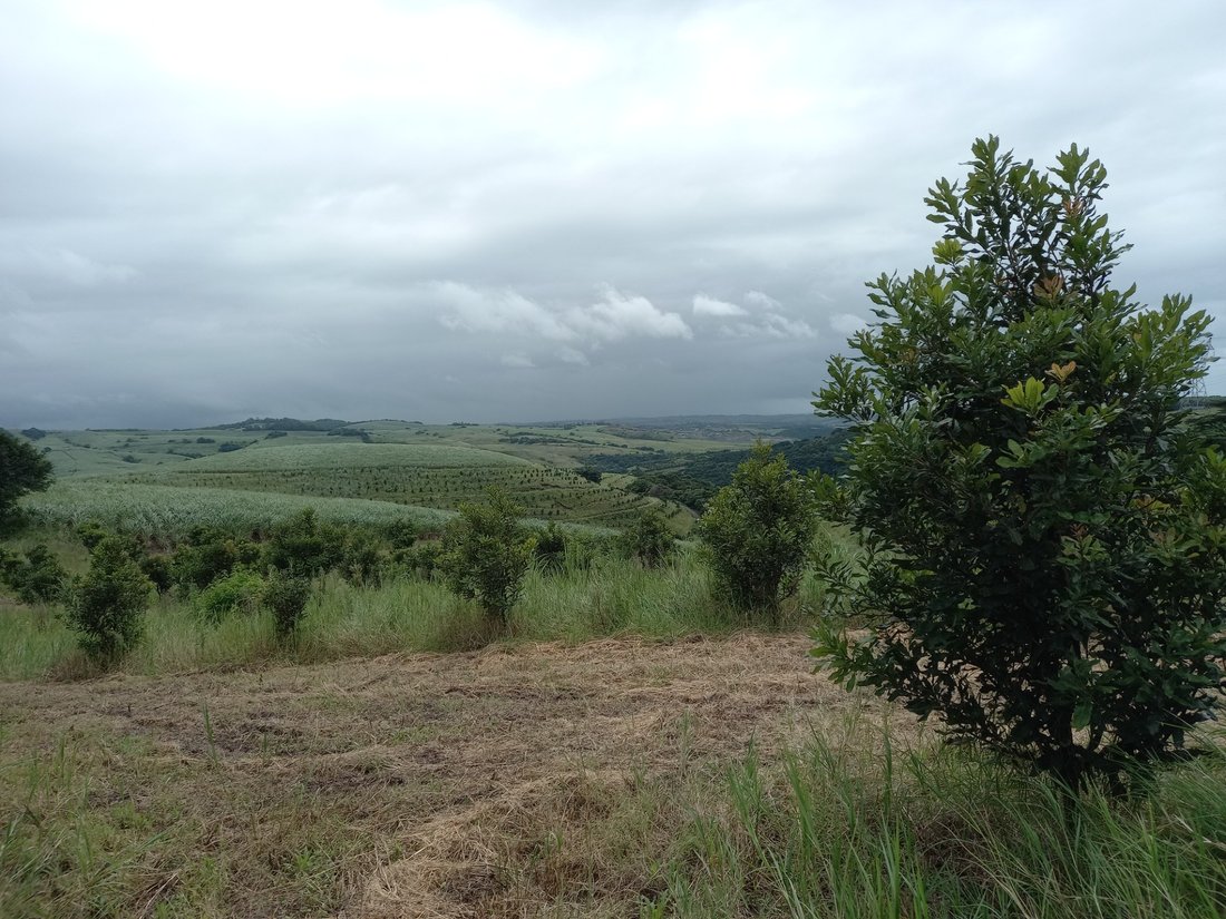 Farm Ranch in Dolphin Coast, KwaZulu-Natal, South Africa 5 - 17252905