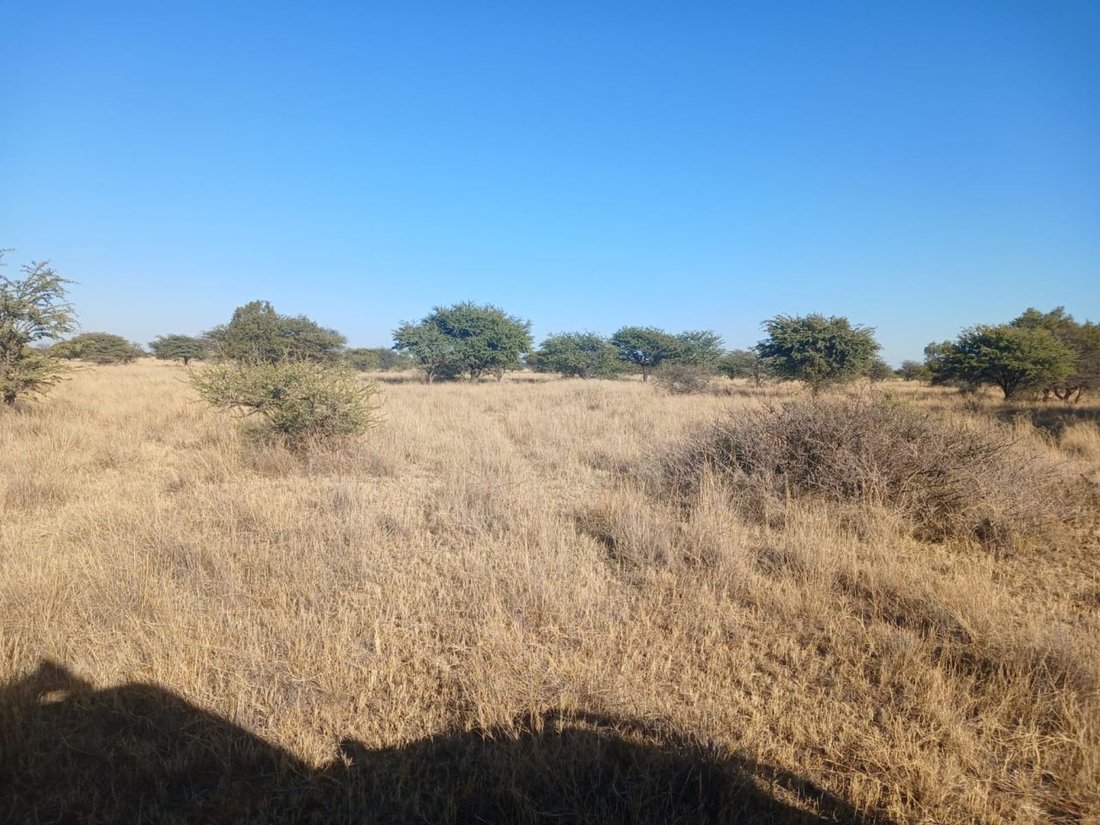 Farm Ranch in Braamfontein, Gauteng, South Africa 3 - 17252309